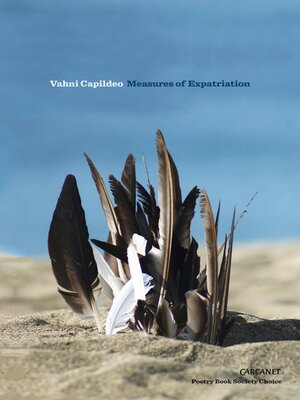 cover image of Measures of Expatriation